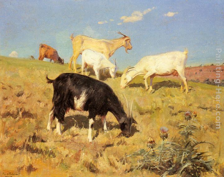 Benito Rebolledo Correa Goats Grazing on a Hillside